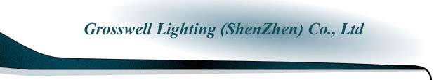 Company Name